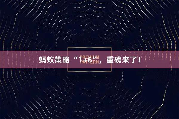 蚂蚁策略 “1+6”，重磅来了！