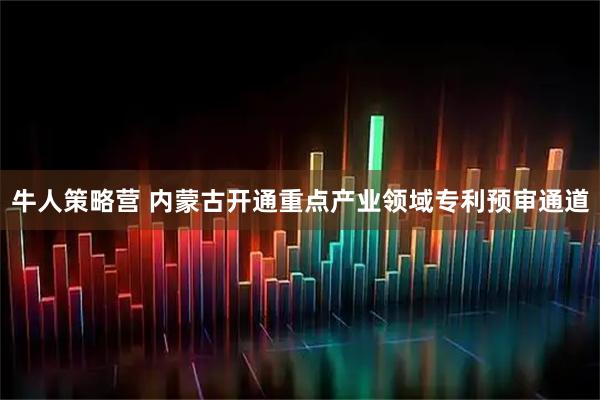 牛人策略营 内蒙古开通重点产业领域专利预审通道